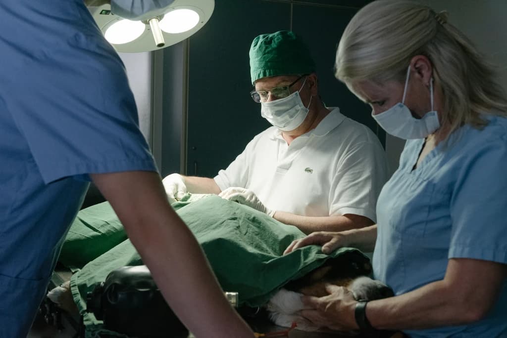 Chirurgie
